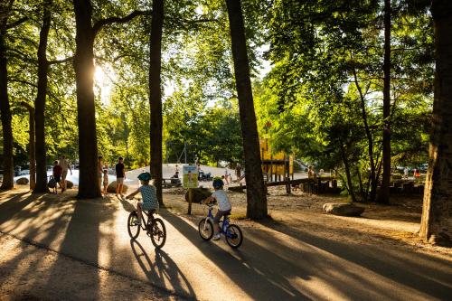 Foto RCN het Grote Bos 1