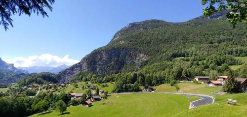 uma vista para um vale com uma montanha em Ufem Egg Ferienwohnungen em Innertkirchen