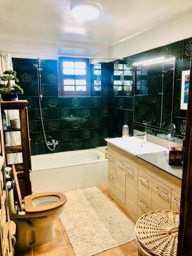 a bathroom with a tub and a toilet and a sink at Masia Mimosa in Darnius