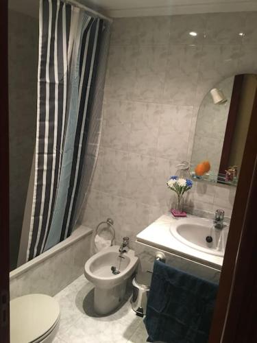 een badkamer met een toilet, een wastafel en een douche bij Apartamento en el centro de asturias in Langreo