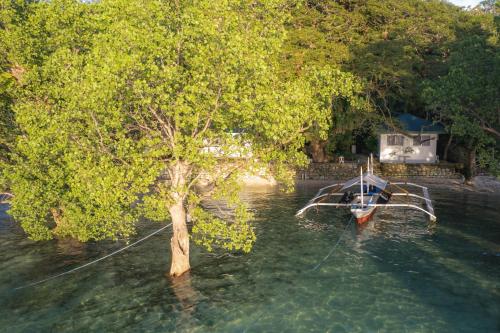 a boat in the water next to a tree at The Three P Beach Resort & Dive Center in Romblon