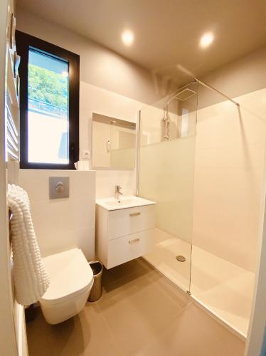 a bathroom with a toilet and a sink and a shower at Le Clos des Bleynoux in Saint-Étienne-de-Fontbellon