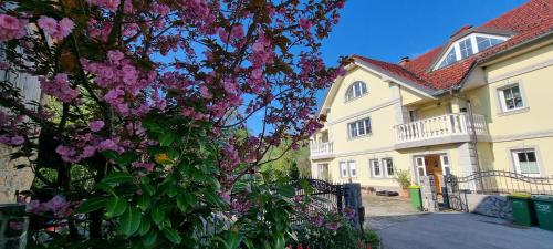 Gallery image of Apartment Sneznik in Stari Trg pri Ložu