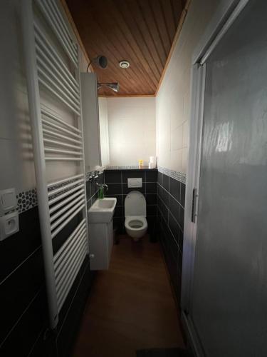 a small bathroom with a toilet and a sink at Logement avec vue panoramique à 10min des pistes in Sauto