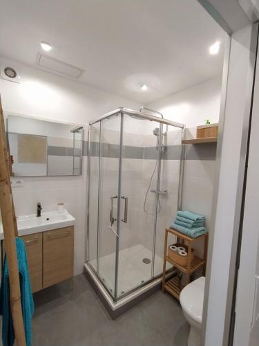 uma casa de banho com um chuveiro, um WC e um lavatório. em Vacance location mer piscine var sud terrasse em Les Issambres
