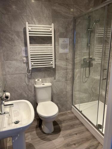a bathroom with a toilet and a shower and a sink at Riviera Hotel in Torquay