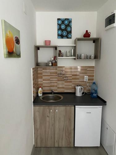 una pequeña cocina con fregadero y encimera en Lotus house en Zrenjanin