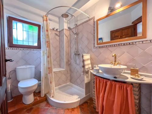 a bathroom with a toilet and a shower and a sink at Tropical Studio in Órgiva