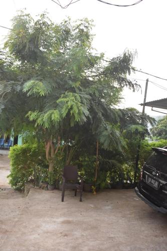 Taman di luar FOUR-G Home Stay & Komodo Tour