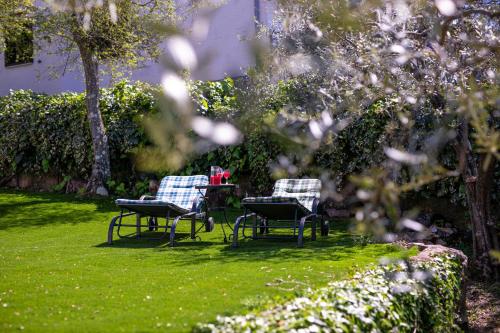 Olive garden & Sunset view – Photos 5