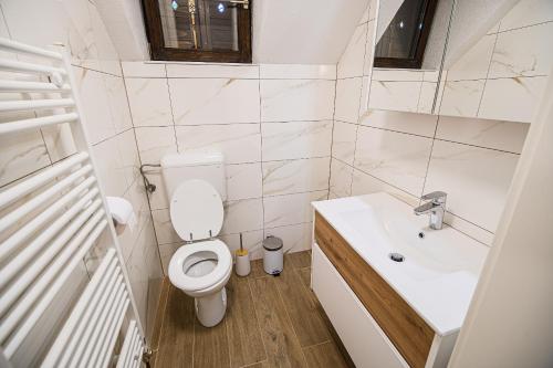 Baño pequeño con aseo y lavamanos en Holiday Home Kozorog en Bohinj