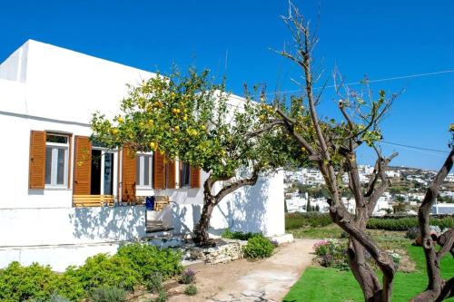 a white house with a tree in front of it at Villa Depasta Cycladic house Aegean Sea view in Apollonia