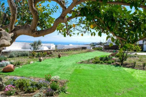 a garden with a green lawn and a tree at Villa Depasta Cycladic house Aegean Sea view in Apollonia