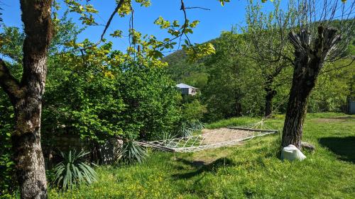 Un paisaje natural cerca de la casa de huéspedes