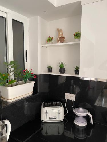 a kitchen with a toaster on a counter with plants at Spinola Bay Apt - Beatiful 3-Double Bed apt near beach in Prime Location in St Julian's