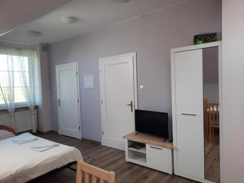 1 dormitorio con 1 cama y TV en un armario en Praski Dom en Sienno