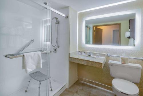 a bathroom with a toilet and a sink and a mirror at Wyndham Garden York in York