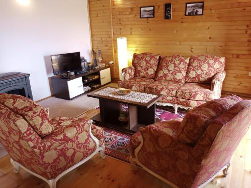 a living room with a couch and a table and chairs at Boskovica Brvnare in Žabljak