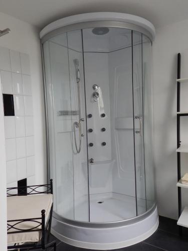 a shower with a glass door in a bathroom at LANDHAUS LAAVE FERIENWOHNUNG 