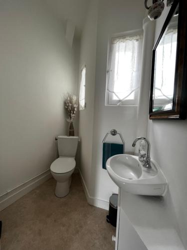 La salle de bains blanche est pourvue de toilettes et d'un lavabo. dans l'établissement superbe appartement belifontain coeur de ville, à Fontainebleau