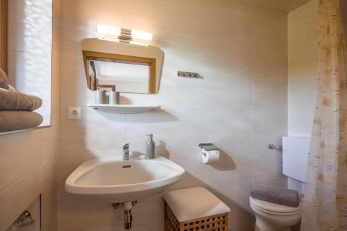 a bathroom with a sink and a toilet at Bauernhof Nagelschmiedhof in Langkampfen