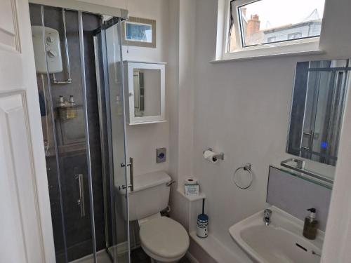 a bathroom with a toilet and a shower and a sink at The Trelinda Guest House in Newquay