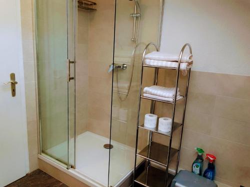 a shower in a bathroom with a glass shower stall at Ferienwohnung in ruhiger Waldrandlage in Bad Wildbad