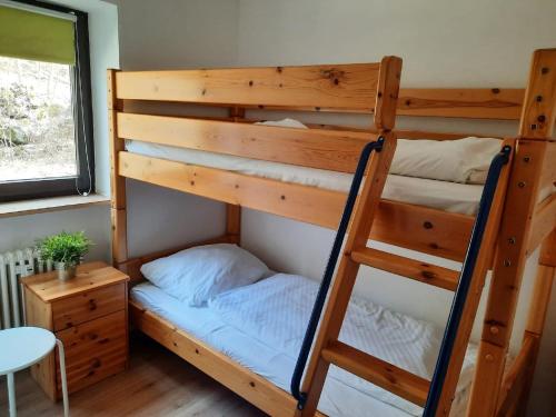 a bunk bed in a room with a ladder and a bed at Ferienwohnungen Ute am Geyersberg inkl AktivCard Bayrischer Wald in Freyung