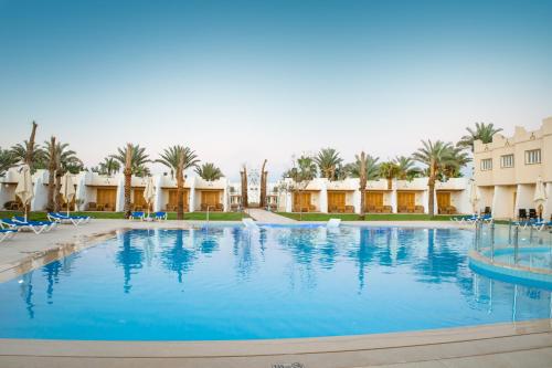 a large swimming pool with palm trees and buildings at Dahab Lagoon Club & Resort Ex Tirana Dahab in Dahab