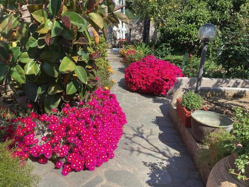 a garden with pink flowers and a pathway at Casetta Minghitto Relaxing rooms in Capri in Anacapri