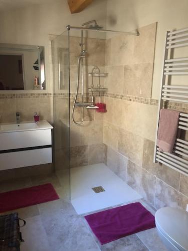 une salle de bain avec douche et lavabo dans l'établissement Maison d'Izzy, villa with private swimming pool and outdoor kitchen, à Roquebrun