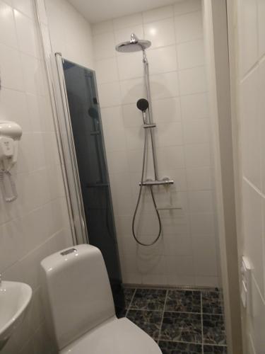 a small bathroom with a toilet and a shower at B&B SPS Downtown Copenhagen in Copenhagen