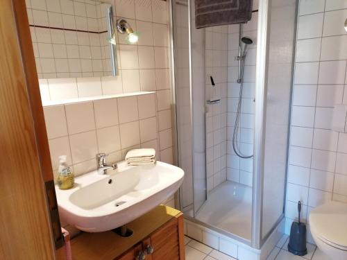 a bathroom with a sink and a shower at Ferienwohnung Osserglück in Lohberg