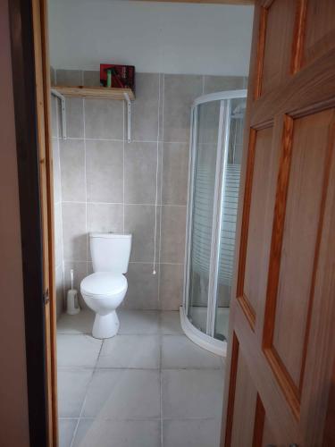 a bathroom with a toilet and a glass shower at Old Eden House in Rossbeg