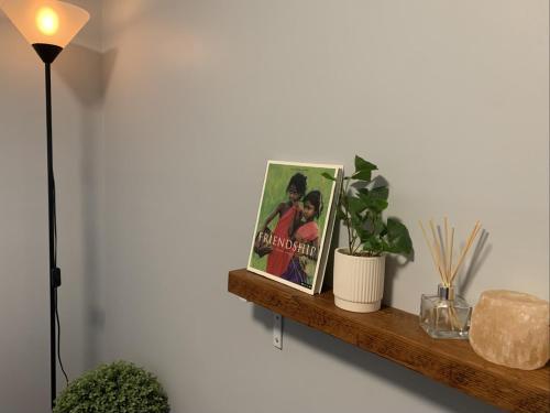 a shelf with two pictures and a plant on it at Quite, quaint & private guesthouse, sleeps 6 in Melbourne