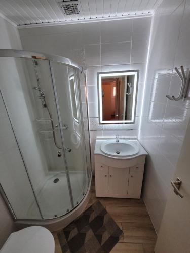 a bathroom with a shower and a toilet and a sink at Szemesi apartman in Balatonszemes