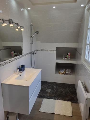 a white bathroom with a sink and a shower at Villa Alice in Blérancourt