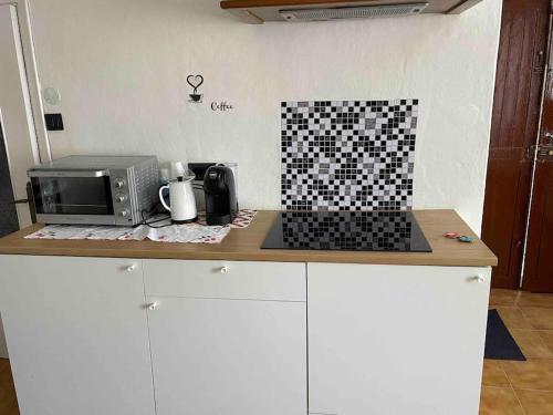 a kitchen counter with a microwave and a toaster oven at Casa vacanze Da Meryon in Albiano