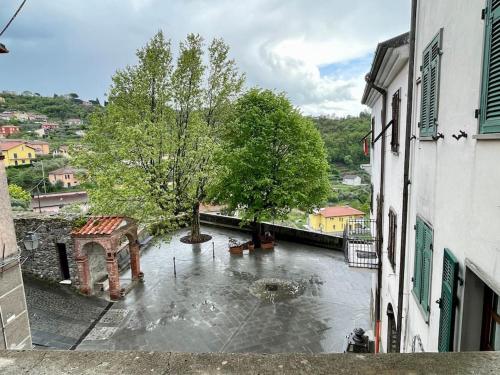 a flooded street with a building and a tree at Casa vacanze Da Meryon in Albiano