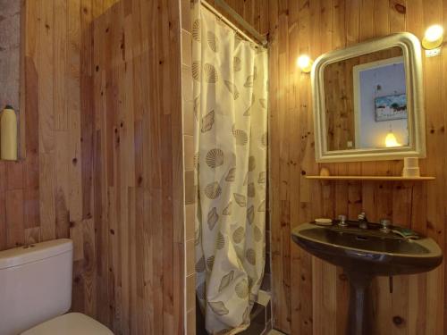 ein Badezimmer mit einem Waschbecken, einem Spiegel und einem WC in der Unterkunft 17th century manor house in the Niavre in Moussy