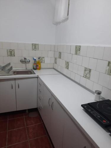 a white kitchen with a sink and a counter top at Vila Viorica in Sovata