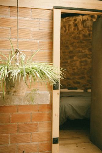 una planta está colgando de una pared de ladrillo en inLoft Copons en Copóns