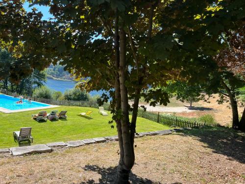 a tree in a park with a swimming pool at Casa d´Água in Venda Nova