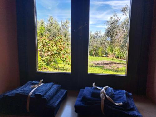 La Casa Del Pettirosso – Photos 5