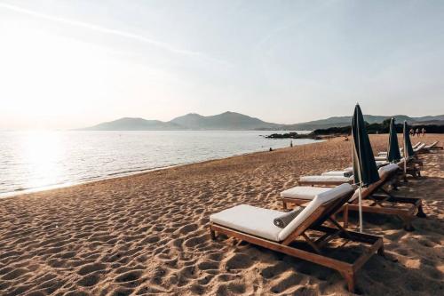 - une rangée de chaises longues et de parasols sur une plage dans l'établissement Appartement 3 chambres , coeur de Porticcio 130 m2, à Grosseto-Prugna