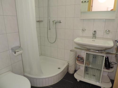 La salle de bains est pourvue d'un lavabo, d'une douche et de toilettes. dans l'établissement Alpenrose (295 Av), à Brienz