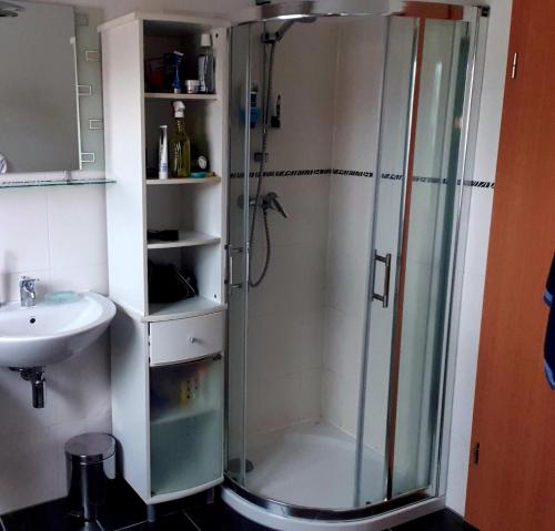 La salle de bains est pourvue d'une douche et d'un lavabo. dans l'établissement Schönes Zimmer in der Wetterau, à Ranstadt