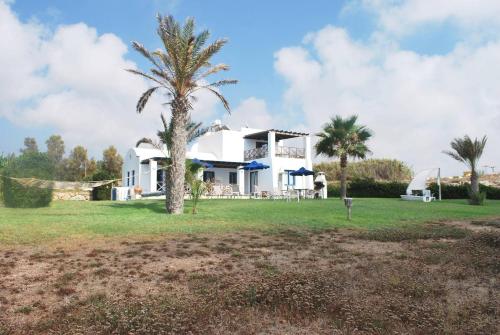 Κήπος έξω από το Sea Front Villa, Heated Private Pool, Amazing location Paphos 323