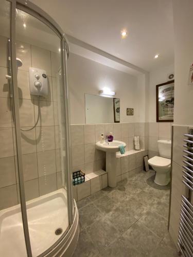 a bathroom with a shower and a sink and a toilet at Homecroft in Saundersfoot