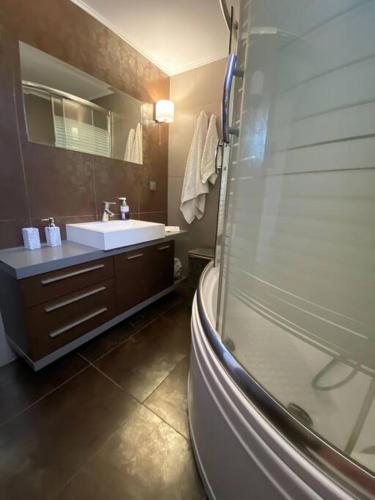 a bathroom with a sink and a glass shower at Handra Villa in Asfendioú